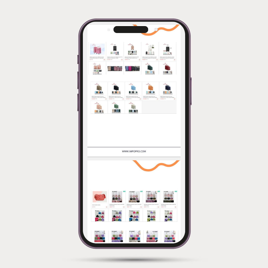 82 Proveedores Mayoristas en Santiago 🇨🇱 - Imagen 6