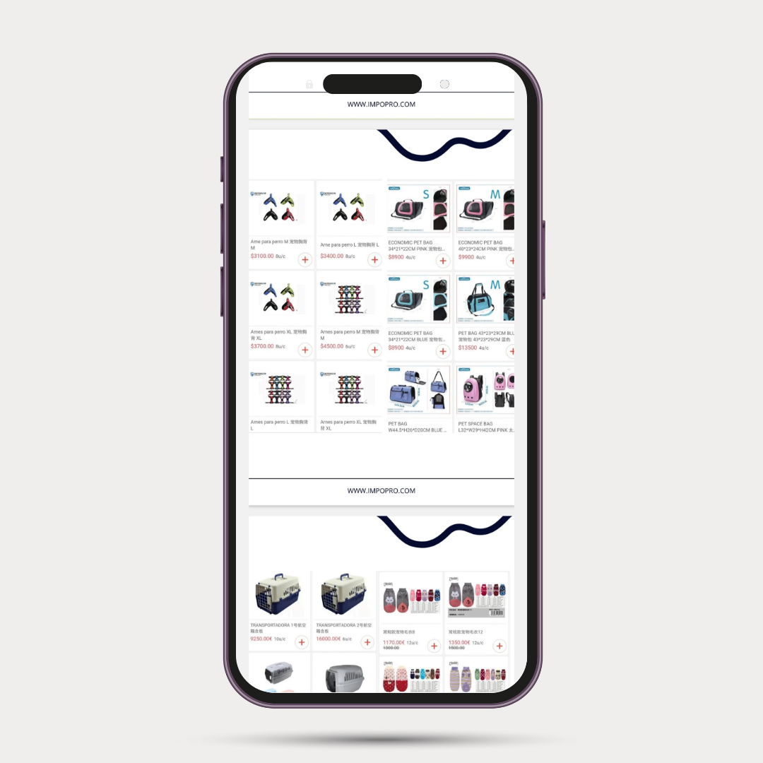 82 Proveedores Mayoristas en Santiago 🇨🇱 - Imagen 3